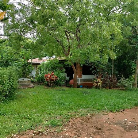 Inn Pondiville Forest Retreat Пондичерри Экстерьер фото