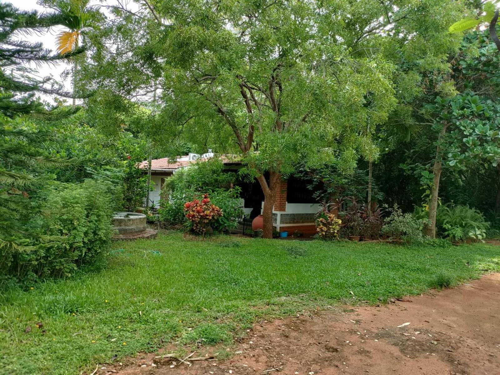 Inn Pondiville Forest Retreat Пондичерри Экстерьер фото