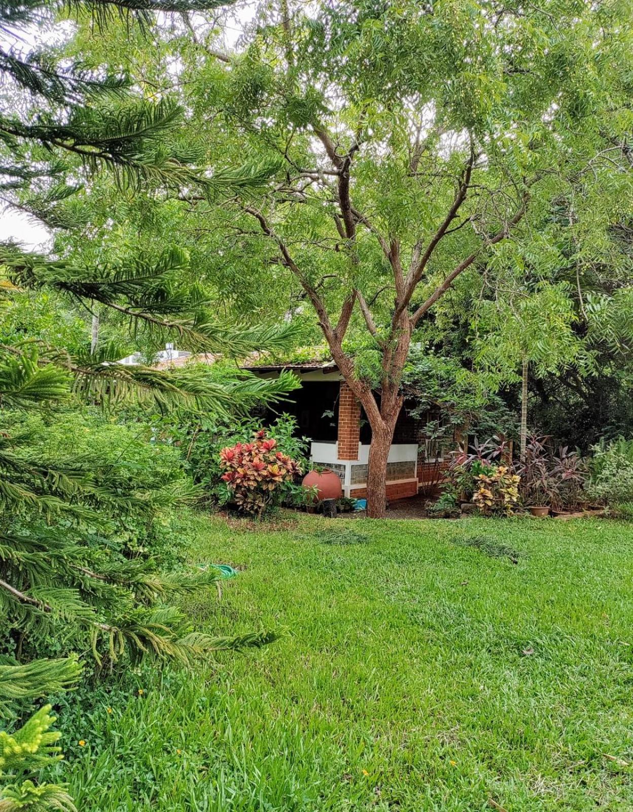 Inn Pondiville Forest Retreat Пондичерри Экстерьер фото