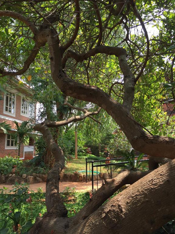 Inn Pondiville Forest Retreat Пондичерри Экстерьер фото