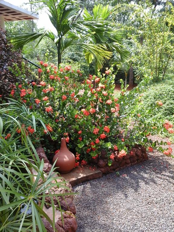 Inn Pondiville Forest Retreat Пондичерри Экстерьер фото